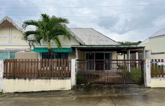 ���� �� panaya.opalopal