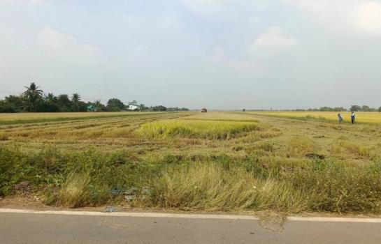 ���ԧ��� �� sopa