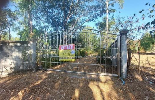 ��º�ҹ 9,000,000 �ҷ