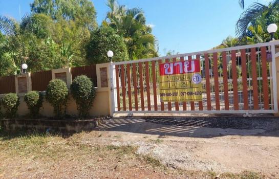 �� �� zionasset1