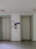 ��� �͹� �ѧ�ͧ��ҧ ��ا෾