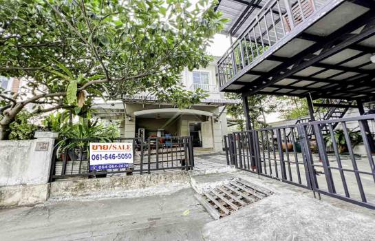 ��º�ҹ 4,950,000 �ҷ