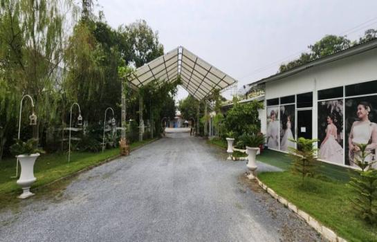 ��¸�áԨ �ͧ����ͧ�ؾ�ó����