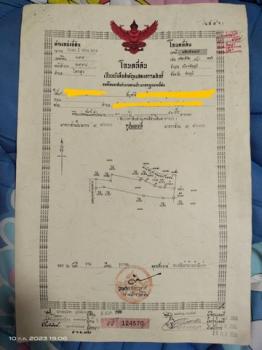 ������� �� sopa