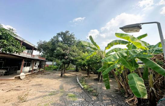 �ҧ�л� �� Sararat_dai