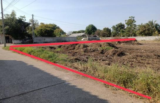 �͹�� �� Jyn Property