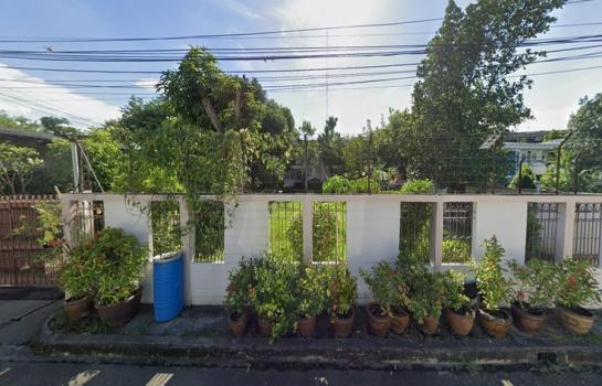 ���⢹� �� HarrisonTH