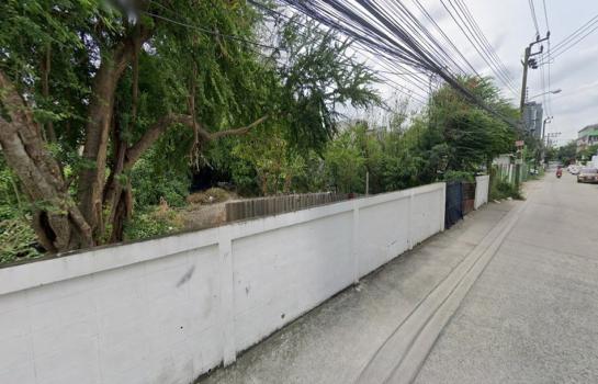 ���Թ�ҧ�� �� HarrisonTH