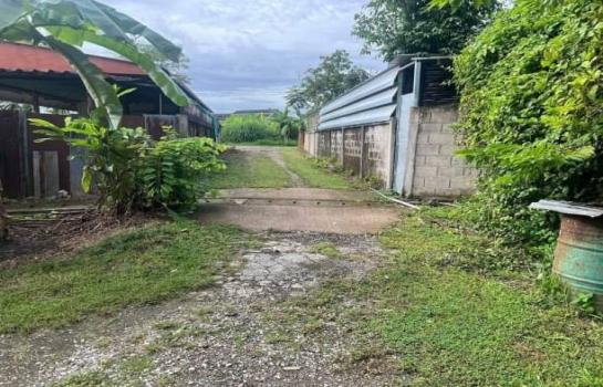 ������ �� onanong khumaphao