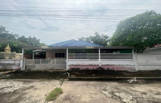 �����ҹ� �� panaya.opalopal