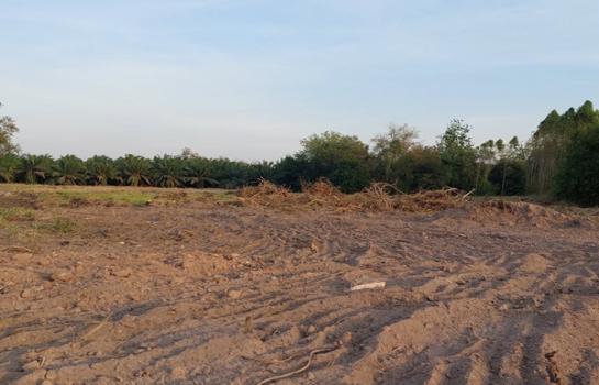 ���Թ 5 ���