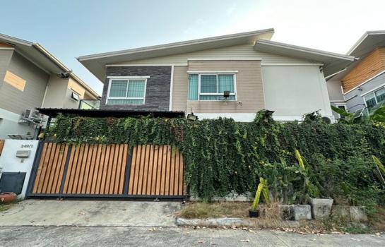 ��»����� �� asanghapl