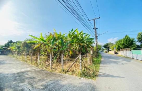 ������ �� northern1