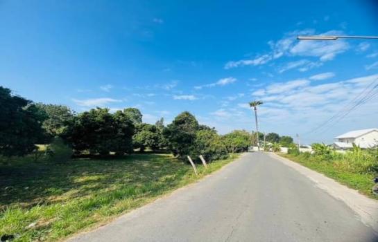 ������ �� northern1