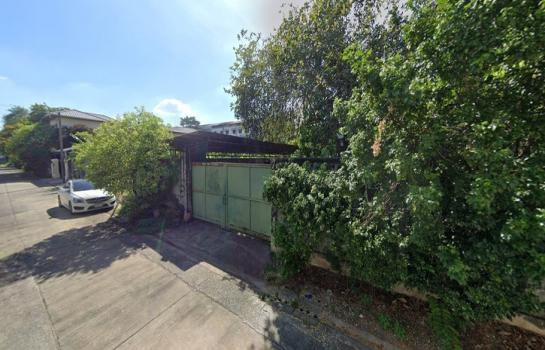 �ǹ��ǧ �� HarrisonTH