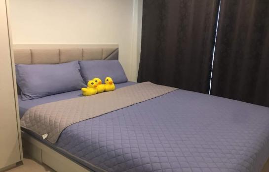 ���١�� �� samita