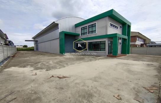 ⡴ѧ��û�� �� Kong property