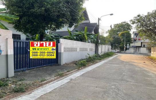 �ҧࢹ �� zionasset1