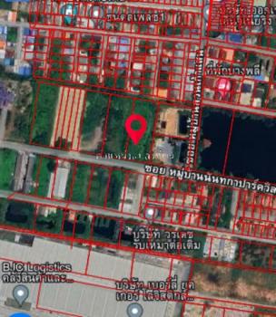 ������ �� zionasset1