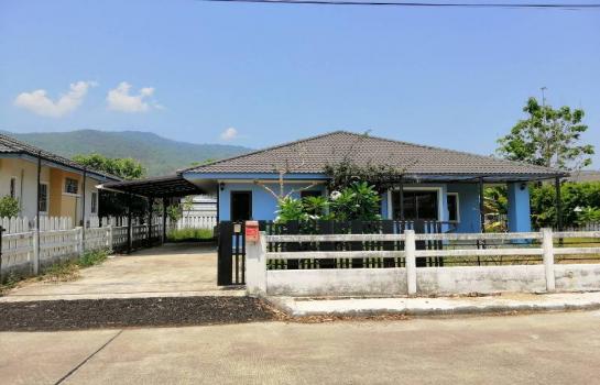 �Ң�ѭ �Ź�����