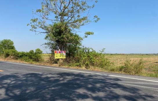 ͧ��ѡ�� �� zionasset1