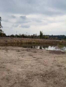 ������ �� onanong khumaphao