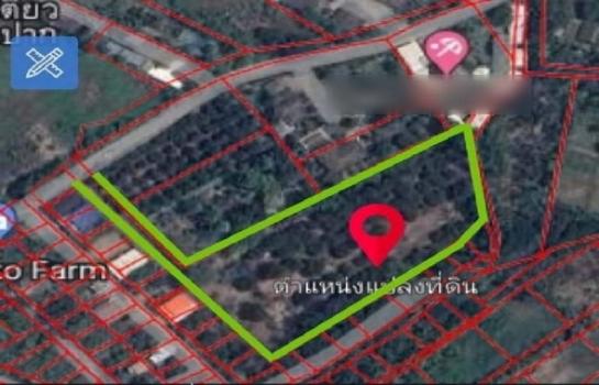 �ҧ�� �� onanong khumaphao