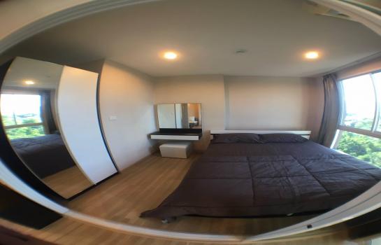 �Ң�ѭ �Ź�����