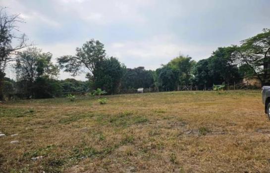 ������ �� onanong khumaphao