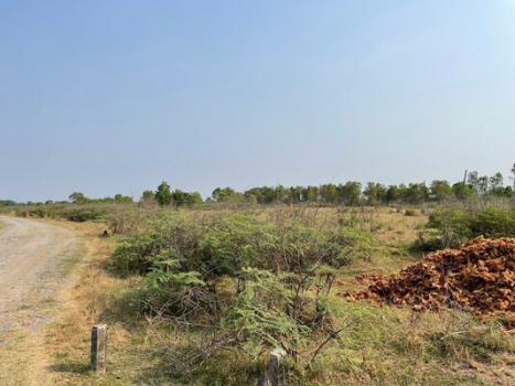 ���١�� �� Estate Corner