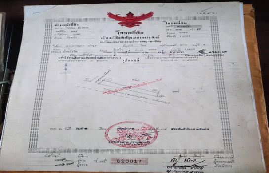 ���Թ 4 ���