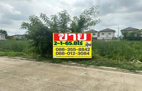 �Ҵ��кѧ �� zionasset1