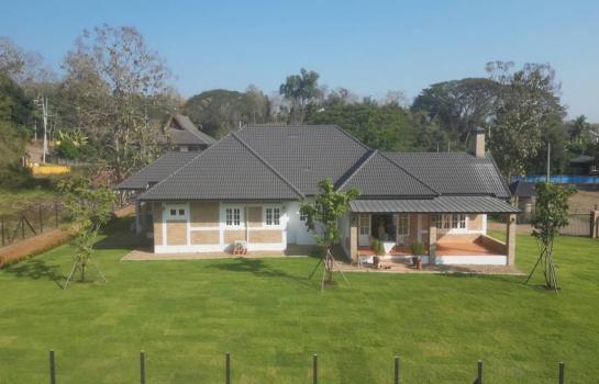 ��ҹ������ �� Sawasdee