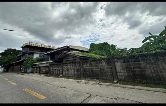 �ҧ��Ѵ �� zionasset1