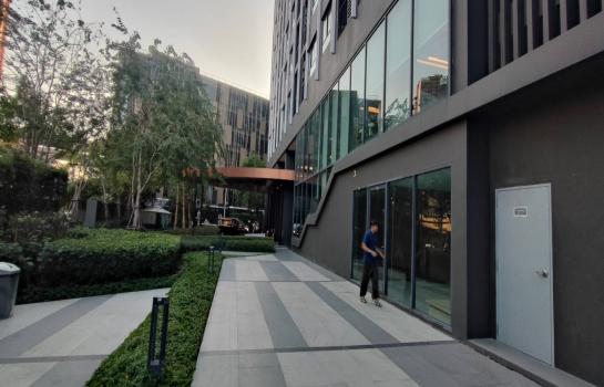 �����¹��� ���˹����ѧ�������Ѿ��