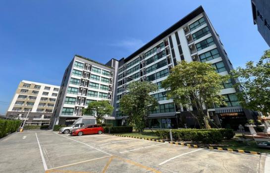 �͹ⴺҧ��Ҹ� ��طû�ҡ��