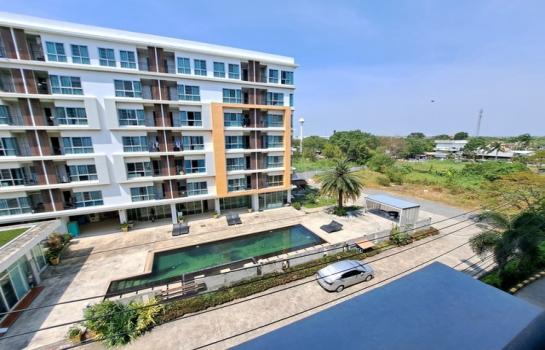 �͹ⴺҧ��Ҹ� ��طû�ҡ��