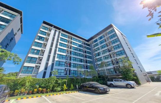 �͹ⴺҧ��Ҹ� ��طû�ҡ��