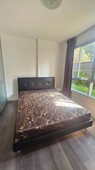 �͹� ���ͧ