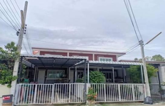 �ҧ�� �� northern1