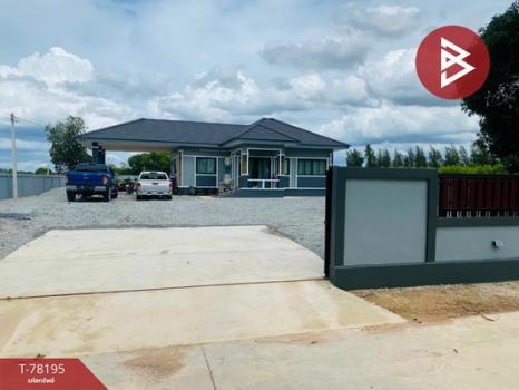 ��ҹ����Ǫź��� �ź���