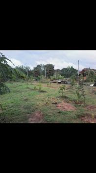 �ҡ��ͧ �� Bangkok Home Condo