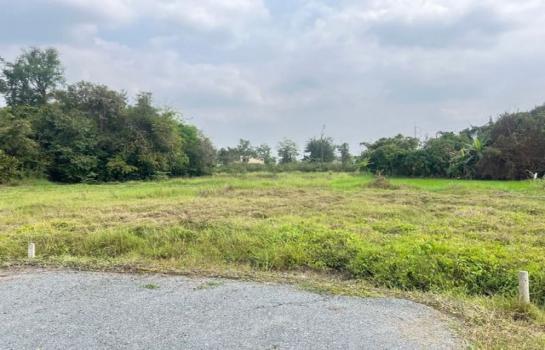 �ҧ�� �� onanong khumaphao