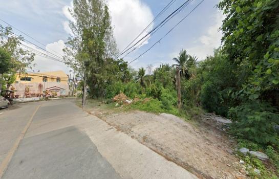 ������ԭ �� HarrisonTH