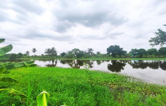 ��ا෾ �� Asset Internal