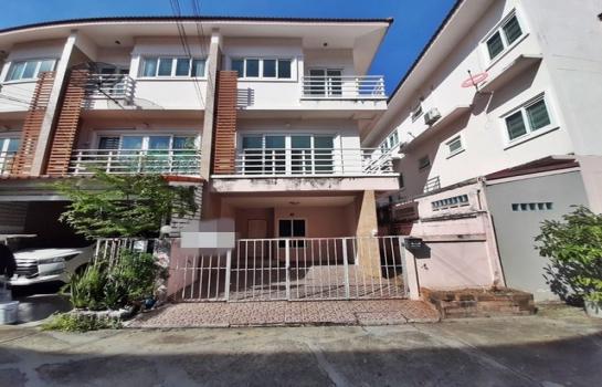 ��´͹���ͧ �� panaya.opalopal