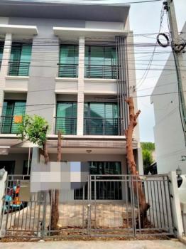 ����� �� panaya.opalopal