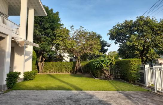 ��¤�ͧ����� �� B.Y.55