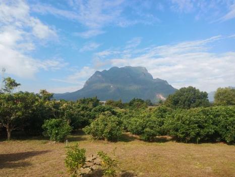 ���Թ 5 ���