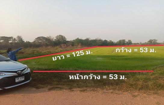 �͹�� �� Jyn Property